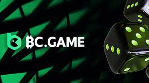 BC Game গোপনীয়তা নীতি আপনার তথ্যের সুরক্ষা ও গোপনীয়তা বজায় রাখা